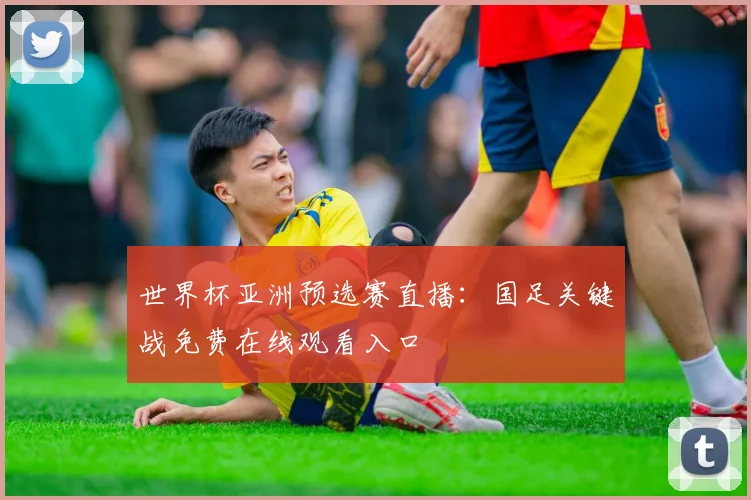 世界杯亚洲预选赛直播：国足关键战免费在线观看入口